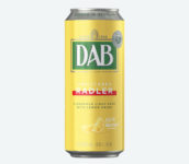 Новый дизайн Radler